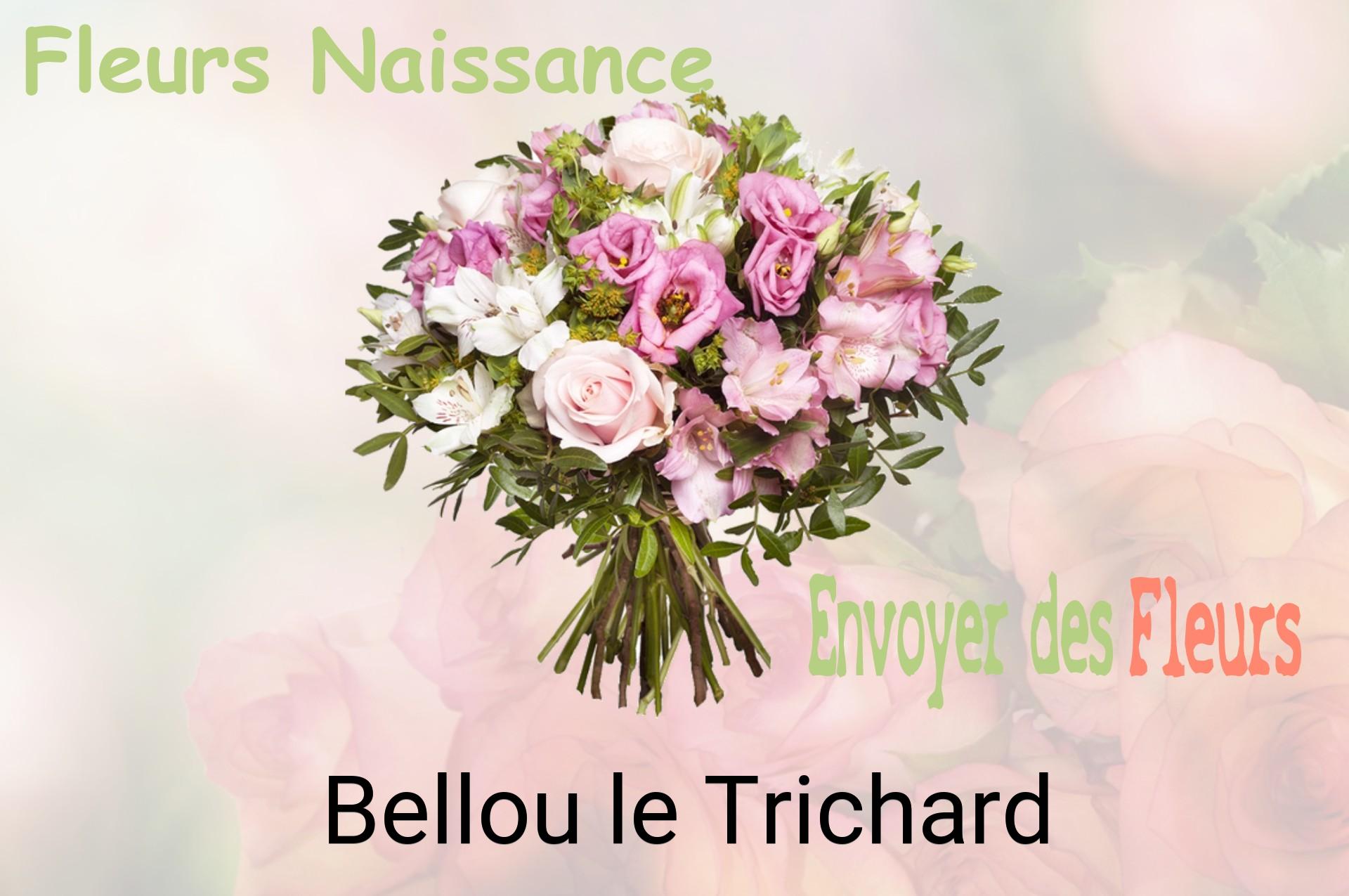 Bouquet de fleurs de naissance livré à Bellou-le-Trichard