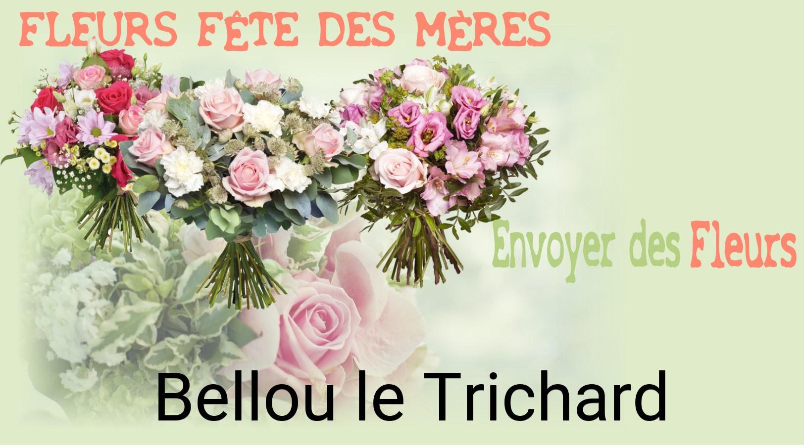 Bouquet de Fête des Mères livré à Bellou-le-Trichard